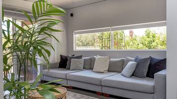 Télévision, cheminée