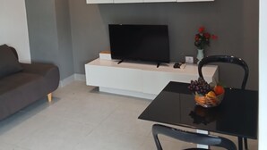 55 インチのテレビ (デジタル放送視聴可)