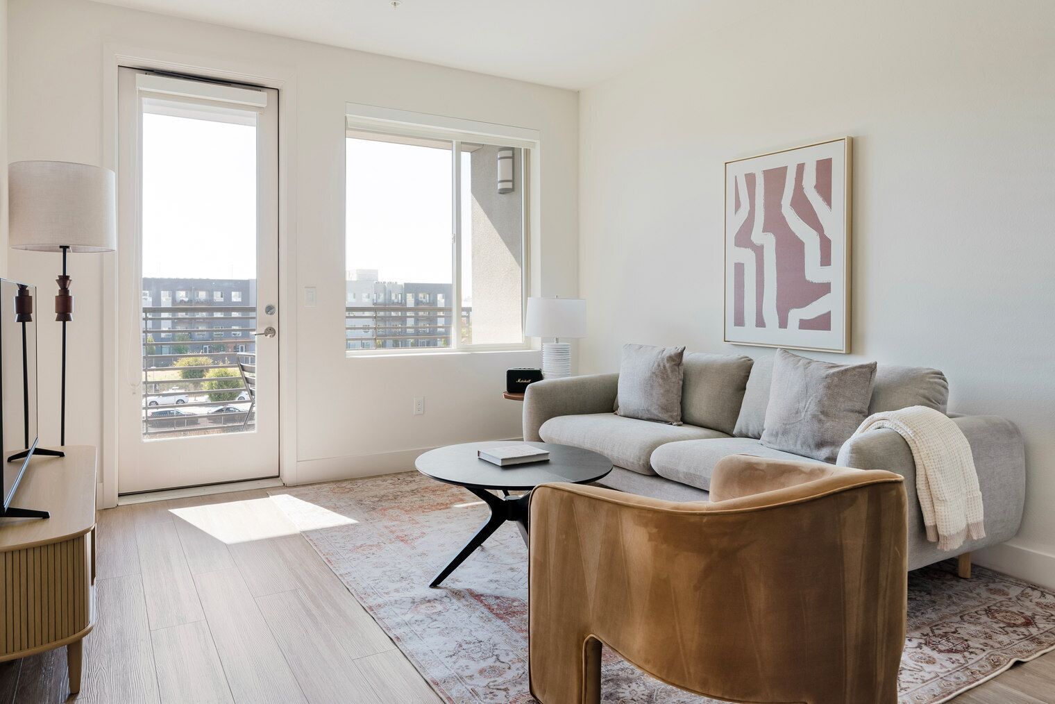 テレビ、ステレオ