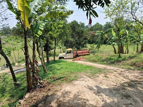 Amberwood Tea & Lake Resort