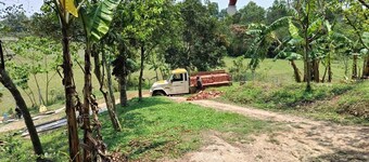 Amberwood Tea & Lake Resort