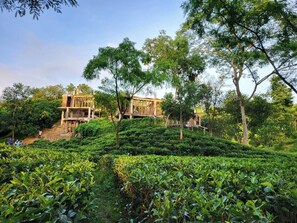 Ngoại thất