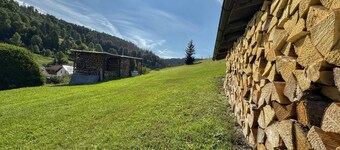 House in the Thuringian Forest with large garden