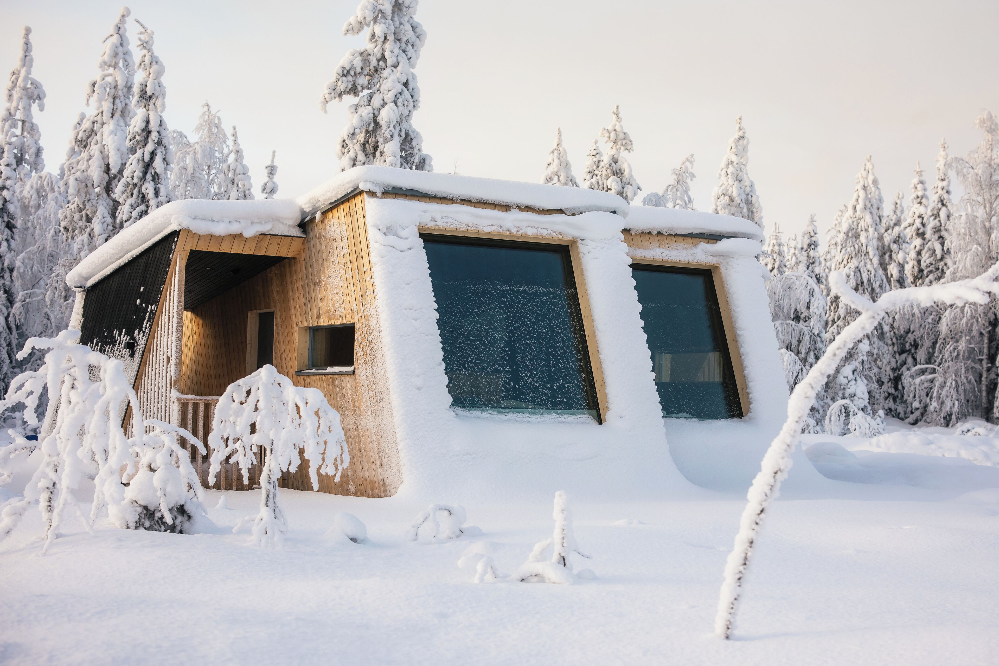 Une cabane en bois dotée de grandes fenêtres, entourée d’arbres couverts de neige.
