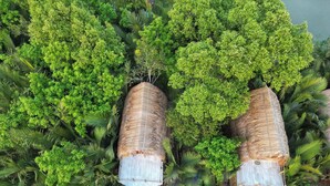 Two thatched-roof structures surrounded by dense green foliage. - Iraboti Eco Resort & Research Center (Dacope)