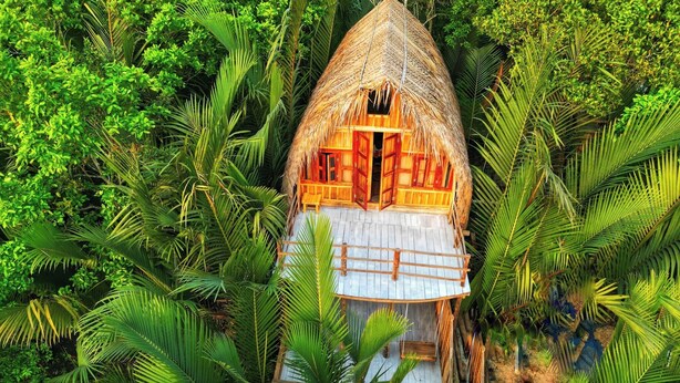 A thatched-roof hut surrounded by dense tropical foliage. - Iraboti Eco Resort & Research Center (Dacope)