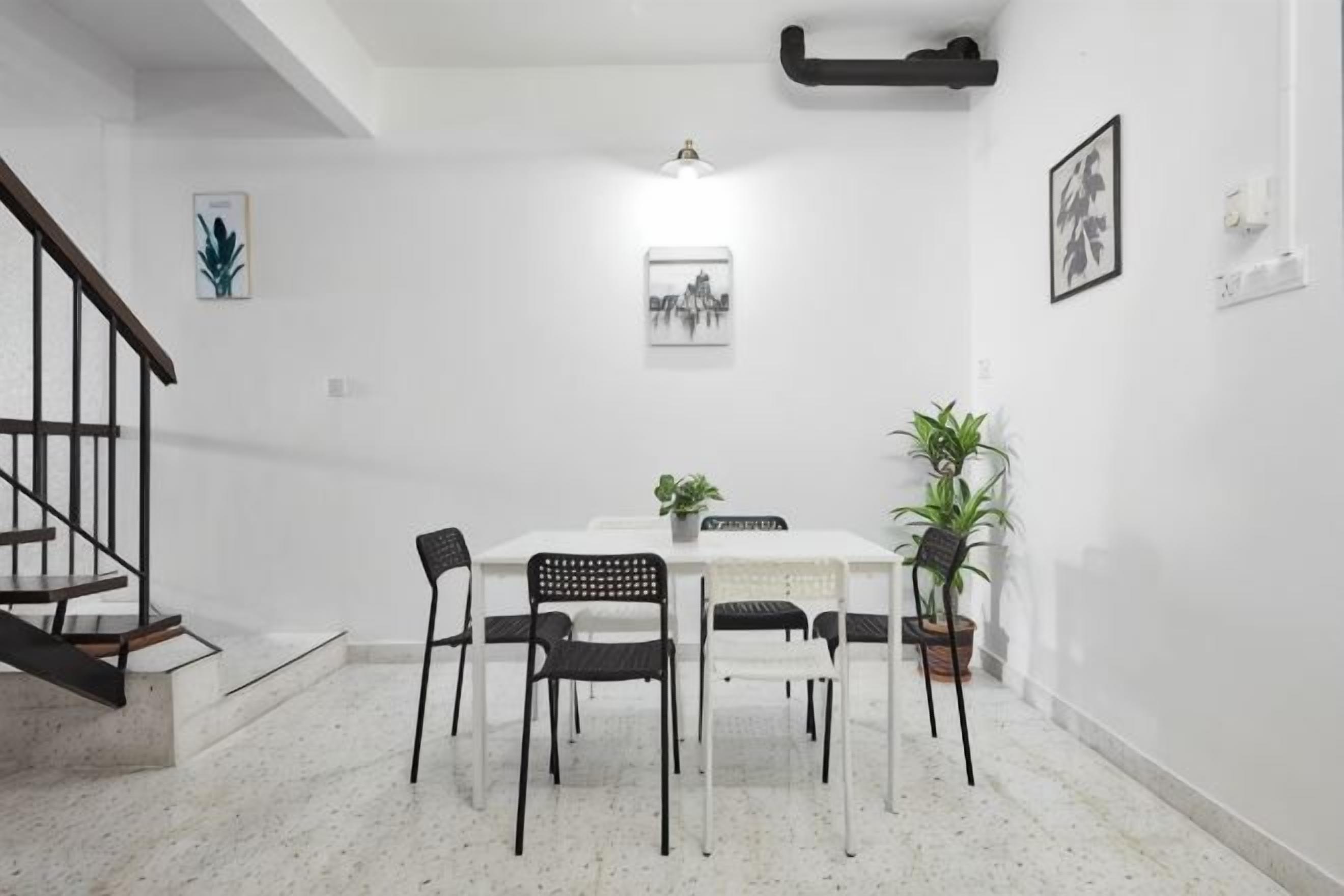A dining area with a white table, black chairs, and a potted plant.