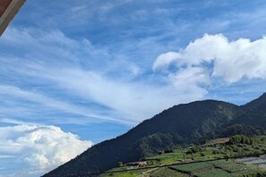 Unclassified image, 5 of 20, button - Skypiea dieng (Batur)