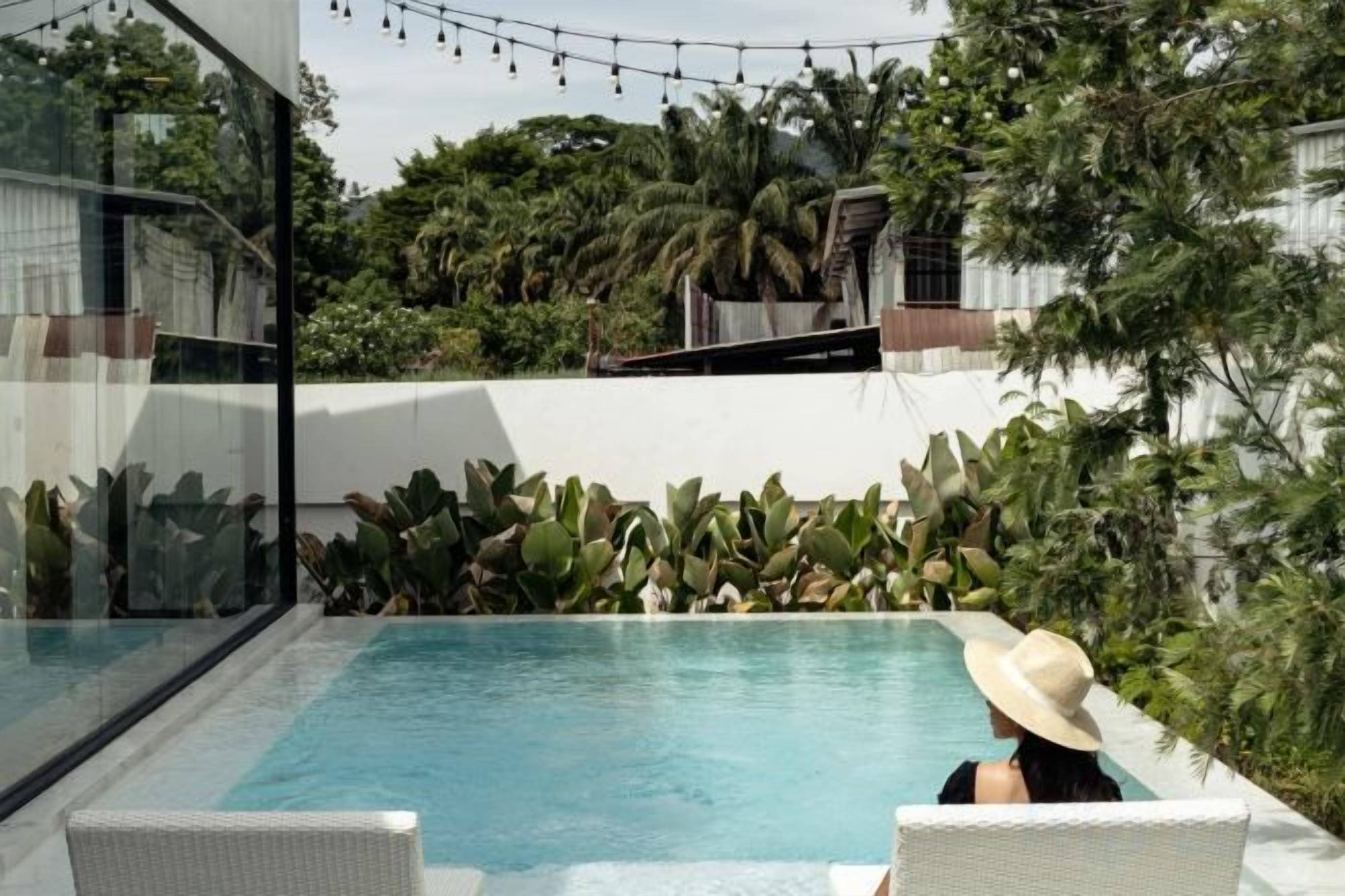 A swimming pool with a glass enclosure, surrounded by lush greenery and a white wall.