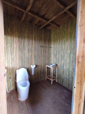 Baignoire, articles de toilette gratuits, serviettes fournies, savon