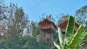 Een klein houten huis met een golfplaten dak, omringd door weelderige begroeiing en bananenplanten.