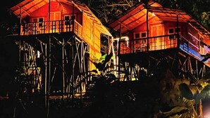 Twee verhoogde houten constructies met glazen wanden, verlicht met warme verlichting, omringd door begroeiing.
