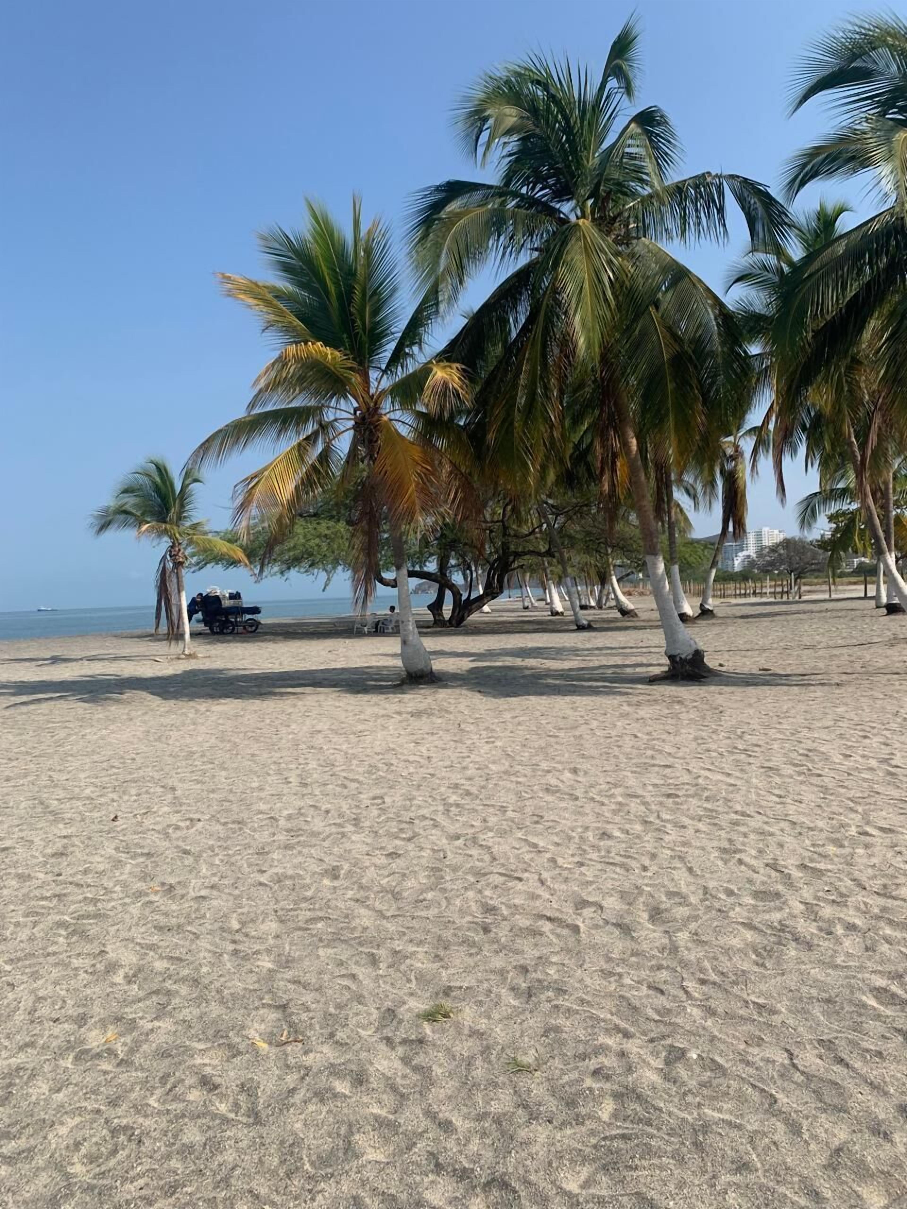 Beach nearby, white sand, beach bar