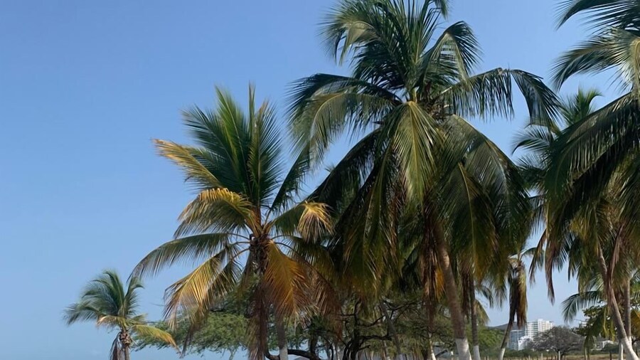 Bello Horizonte Plaza