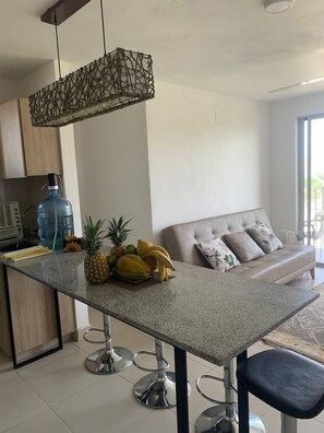 Standard Apartment, Bay View | Living area | 50-inch Smart TV with satellite channels, Netflix, first-run movies - Bello Horizonte Plaza (Santa Marta)