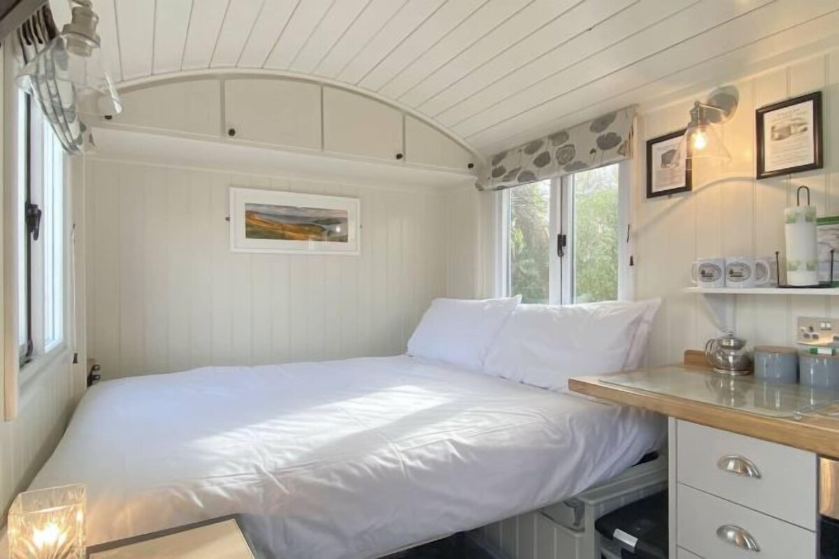 A single bed with white bedding, a wooden bedside table with a lamp, a framed picture on the wall, and a window with a view of greenery.