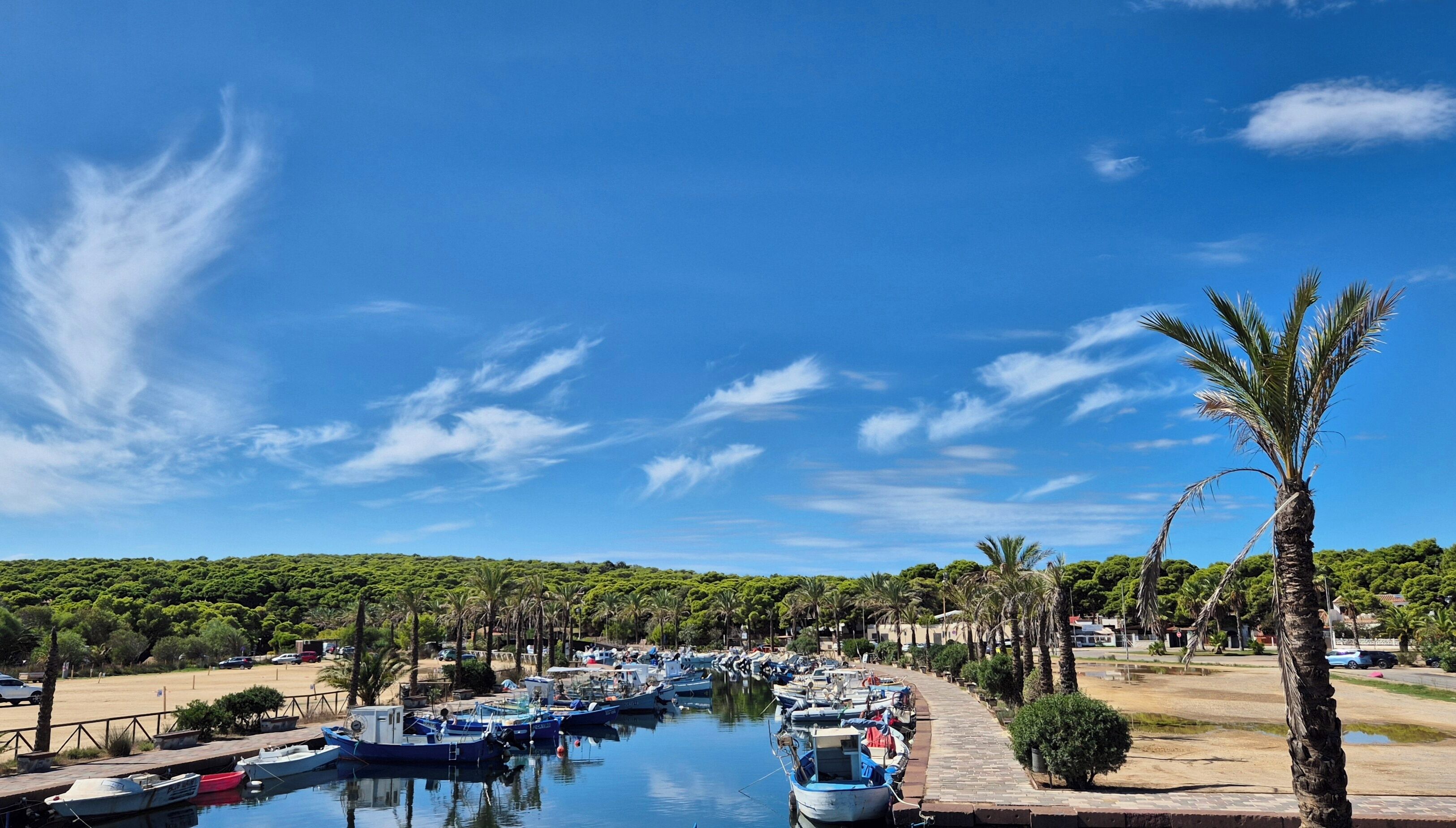 A marina with boats docked along a waterfront path, surrounded by greenery and palm trees.