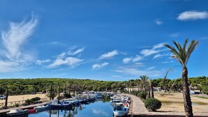 Una marina amb vaixells amarrats al llarg d'un camí costaner, envoltada de vegetació i palmeres.