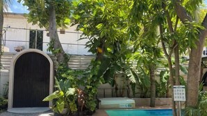 A swimming pool surrounded by lush greenery and a covered entrance. - Zinnia (Maafushi)