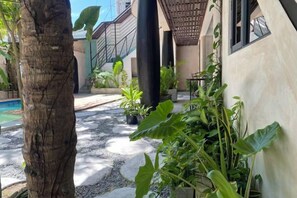 Unclassified image, 3 of 56, button - Zinnia (Maafushi)