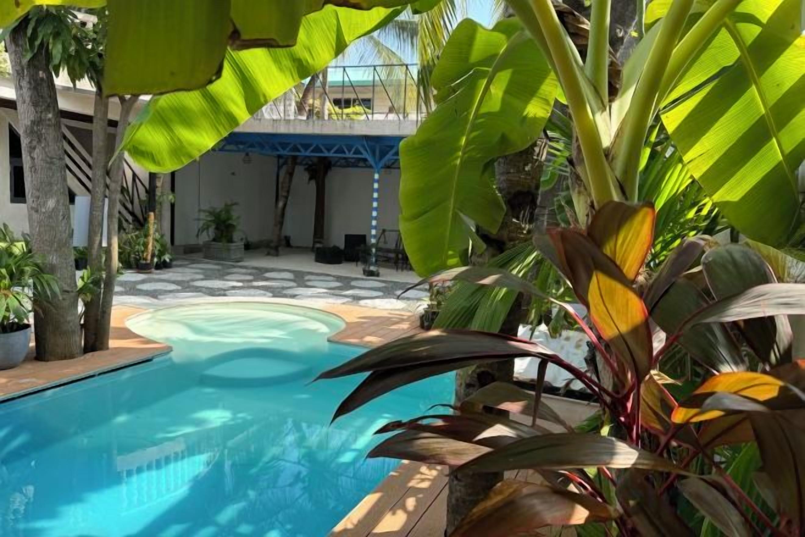Una piscina rodeada de plantas tropicales, con un espacio exterior cubierto al fondo.