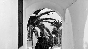 A narrow, stone-paved alleyway with a white building on one side and palm trees on the other.