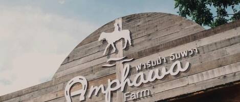 Un letrero de madera con el texto 'Amphawa Horse Farm' y la silueta de un caballo.