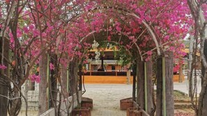 Un sentier bordé d’une arche en bois ornée de fleurs roses, qui mène à un bâtiment à la façade jaune.