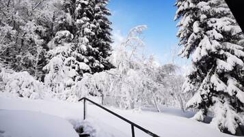 Khuôn viên nơi lưu trú