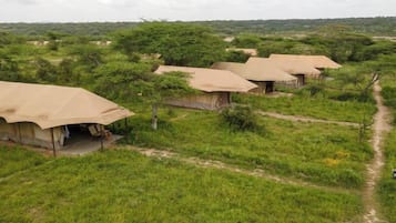 A series of safari tents with a dirt path leading to them, surrounded by greenery.