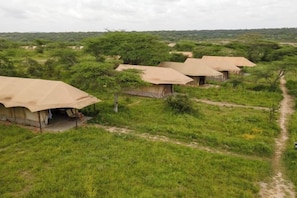 A series of safari tents with a dirt path leading to them, surrounded by greenery.
