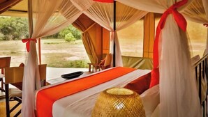 A tent-style room with a bed, a table, chairs, and a view of the outdoors. - Kenzan Mara Camp (Serengeti)