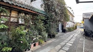 A narrow alley with potted plants lining one side and a bicycle parked on the right. - New open！F Maison Kishinosato｜Next to Tenga Chaya Park (Osaka)