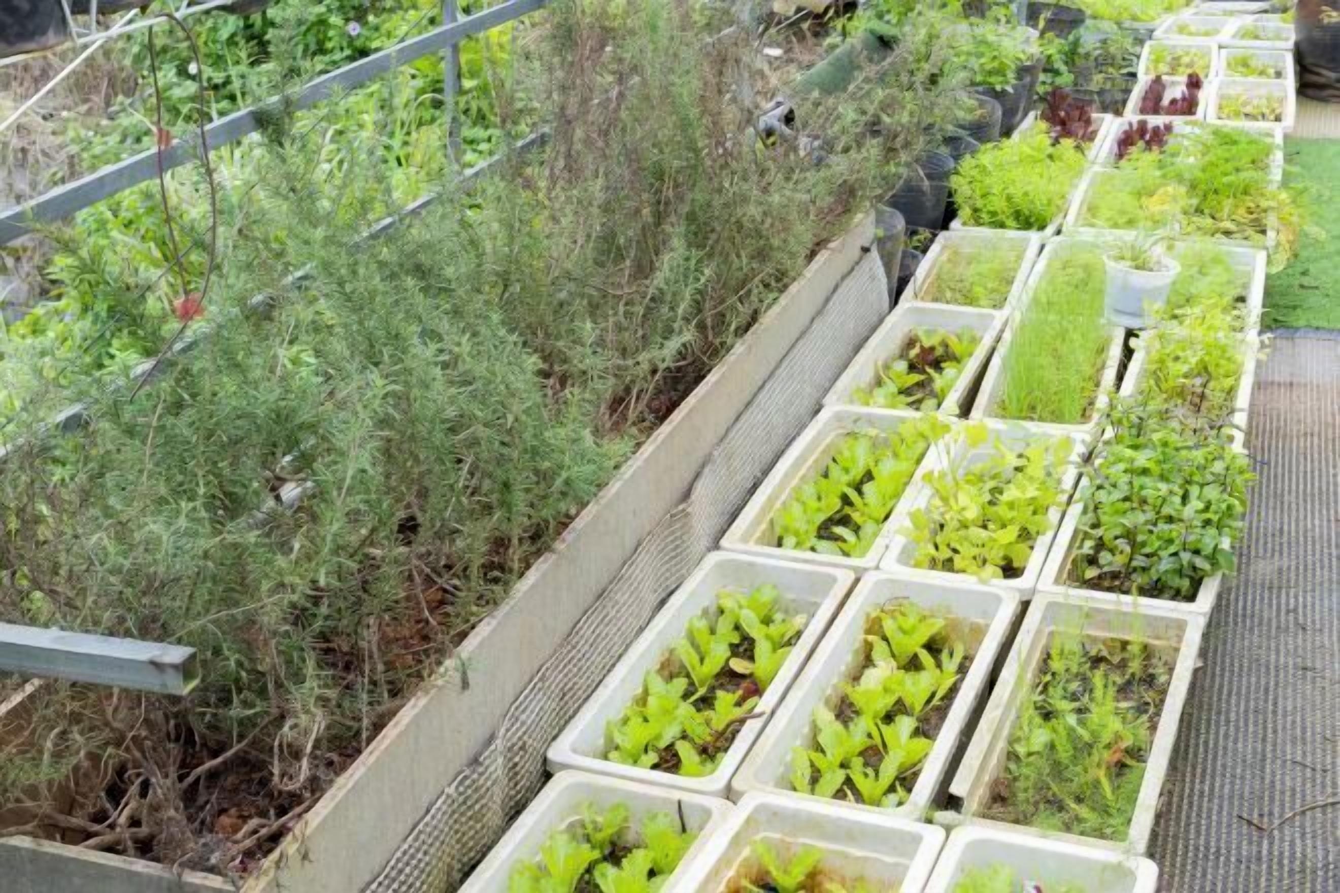 Khuôn viên nơi lưu trú