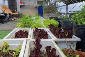 Property grounds - Infini - Rosemary Huong Thao (Dalat)