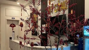A reception area with a reception desk, a decorative tree, and a television screen. - Hotel My Cang (Tra Vinh)