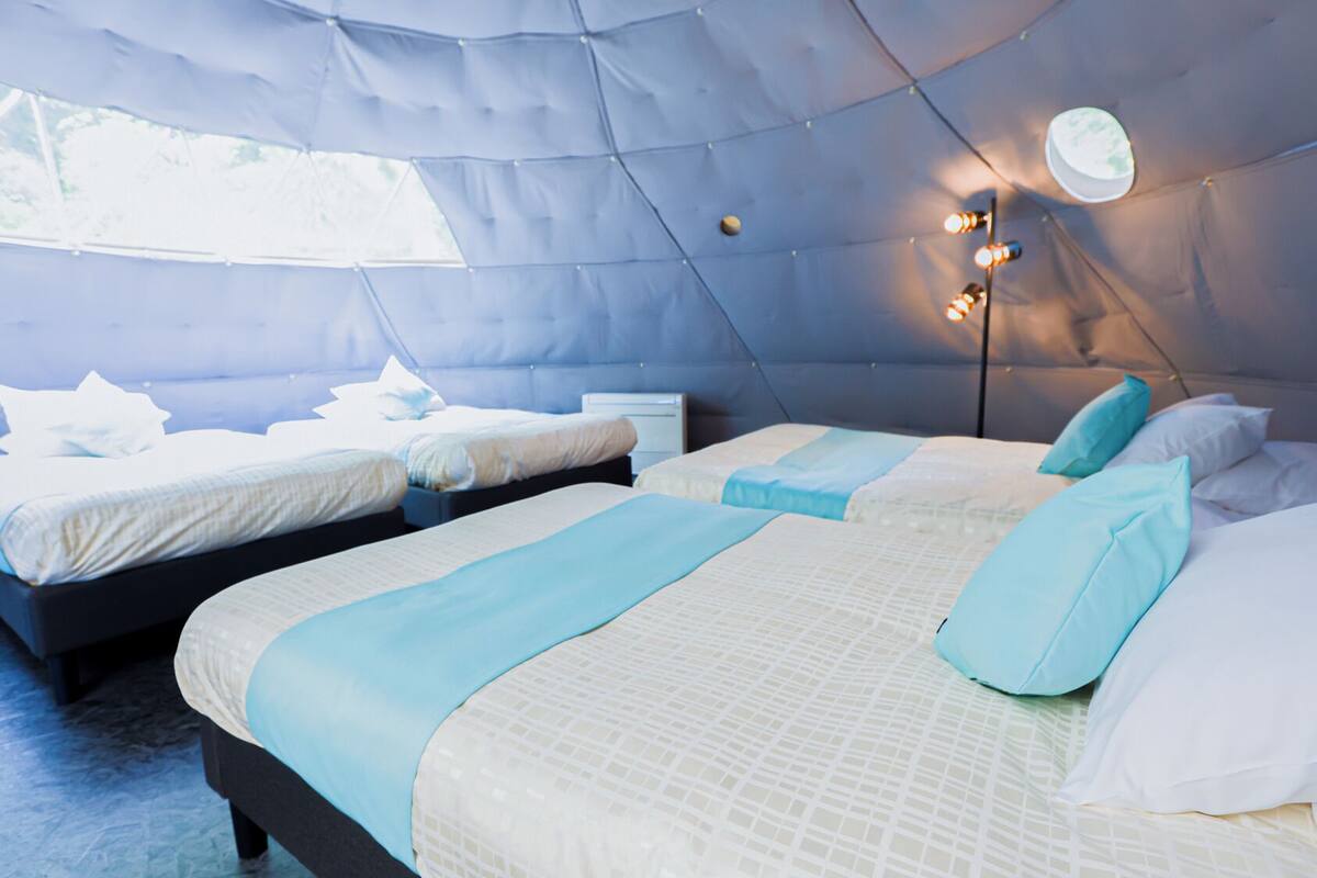 Premium Room | WiFi (free), bed sheets