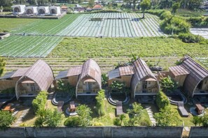 A vineyard with rows of grapevines and several rustic buildings with sloped roofs. - Tegal Bamboo Cottages & Private Hot Spring (Bali)