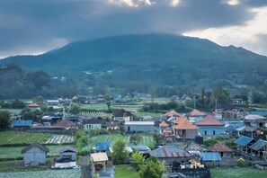 A rural village with houses and fields, a mountain in the background, and a cloudy sky. - Tegal Bamboo Cottages & Private Hot Spring (Bali)