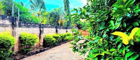 Overnattingsstedets uteområder