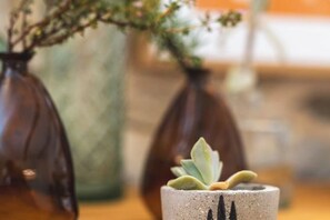 A close-up of a ceramic pot with a succulent plant. - Cottage Olive on large domain with Pool, Spa, Tennis (Saint-Julien-les-Rosiers)