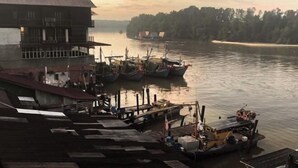 A riverside dock with boats, a building with a sloped roof, and a forested island in the background. - Crosview (Kuala Sepetang)