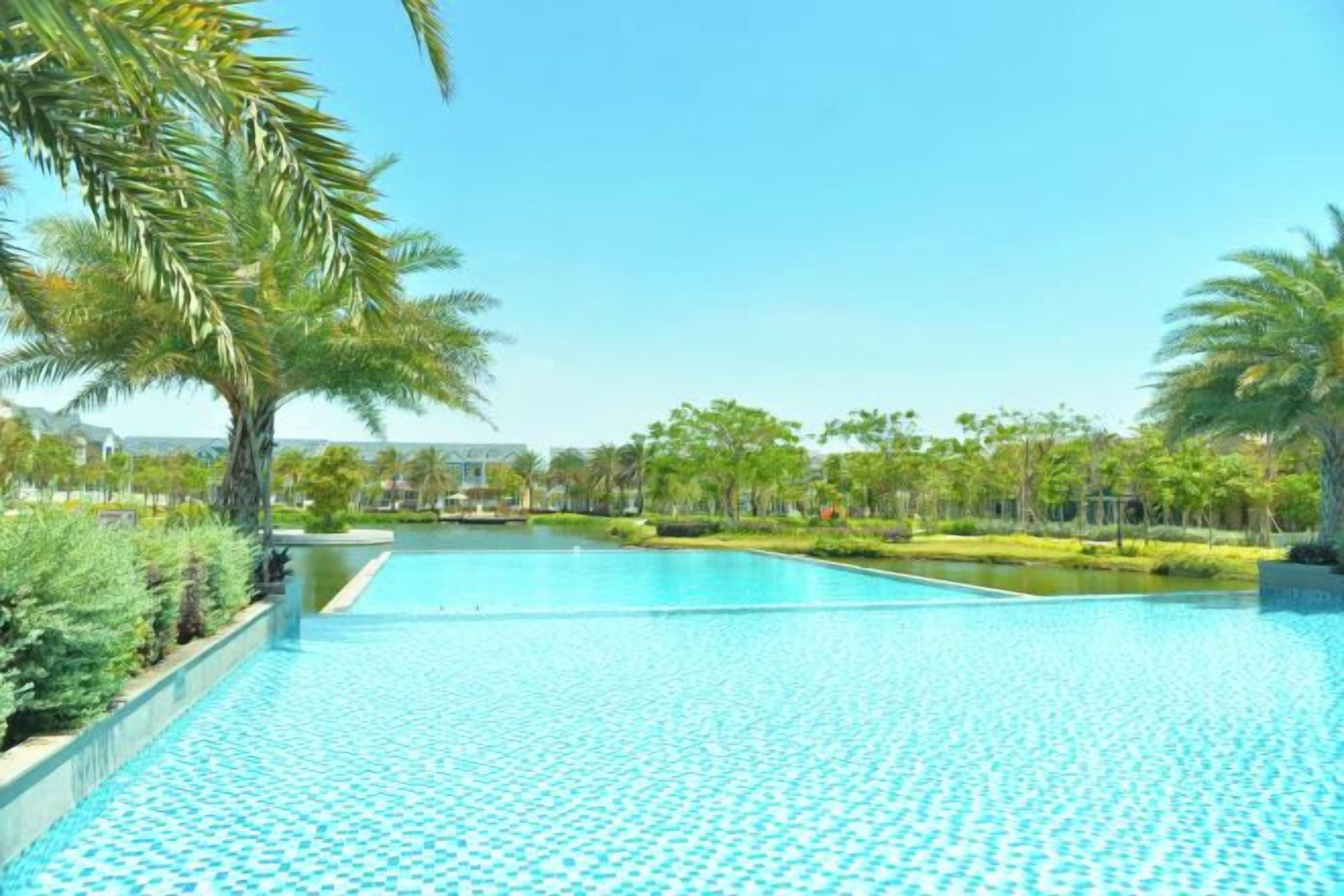 A swimming pool with a clear blue water surface, surrounded by palm trees and greenery.