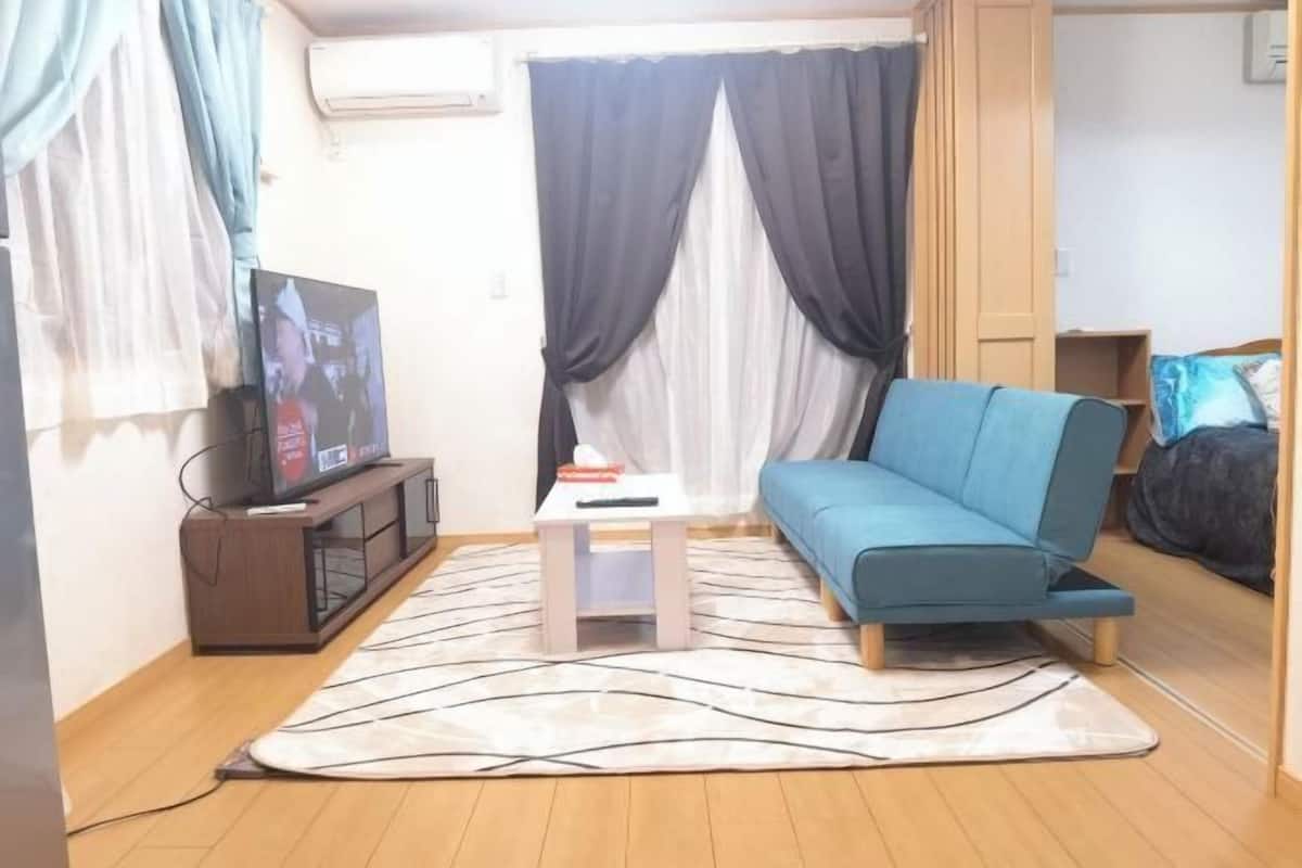 A living room with a sofa, a TV, a small table, and a patterned rug.