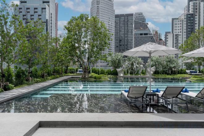 A rooftop pool with lounge chairs and umbrellas, surrounded by greenery and city buildings.
