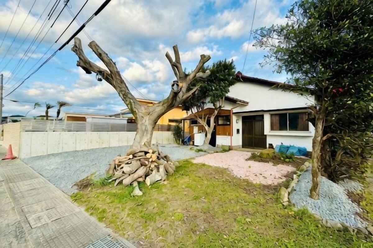 A residential property with a tree, a pile of logs, and a house with a tiled roof.