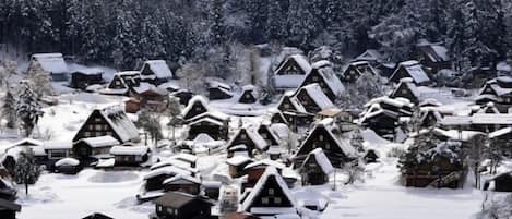 A snow-covered village with traditional wooden houses.