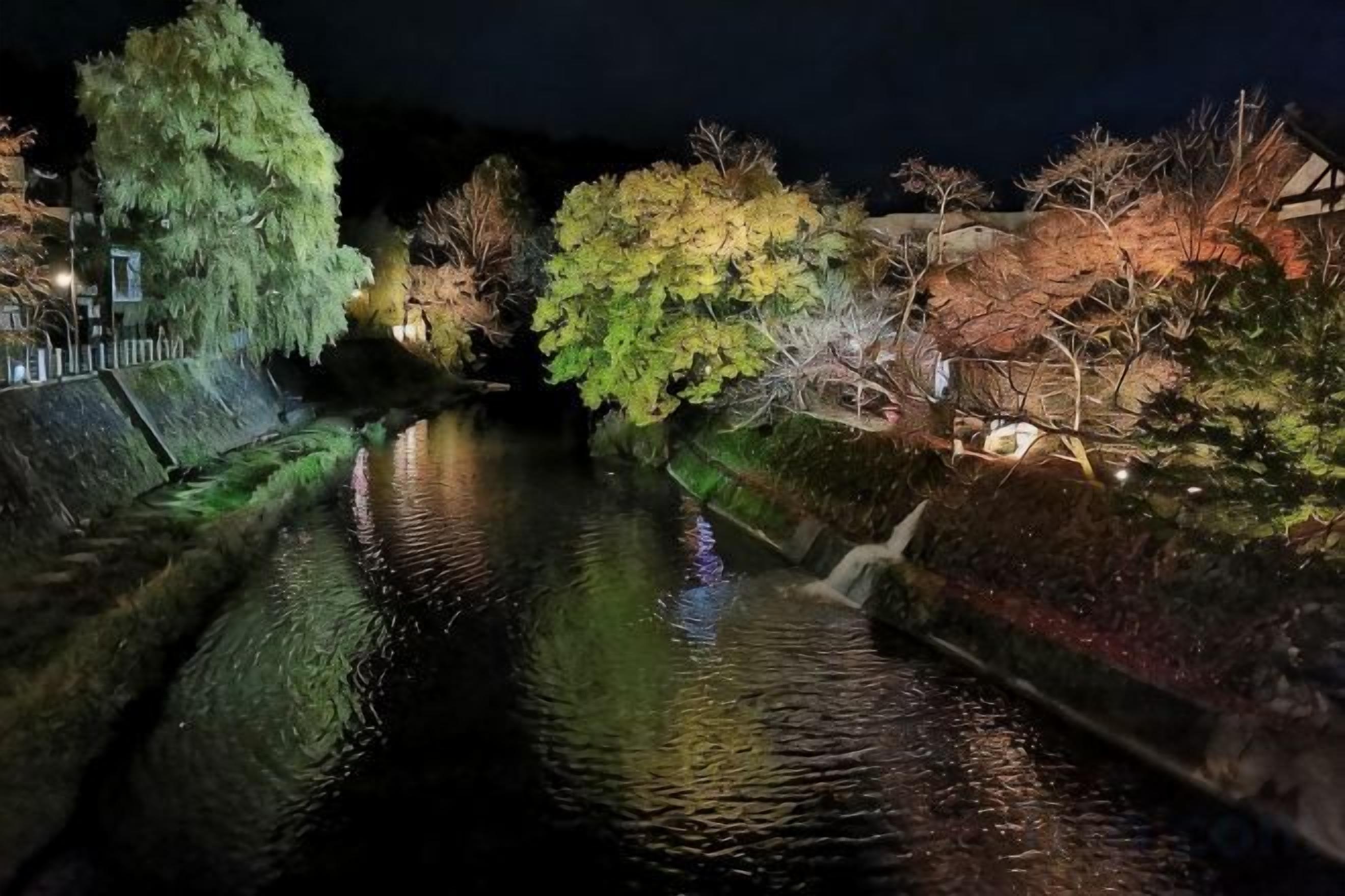 A nighttime view of a canal with trees and a building on the left.