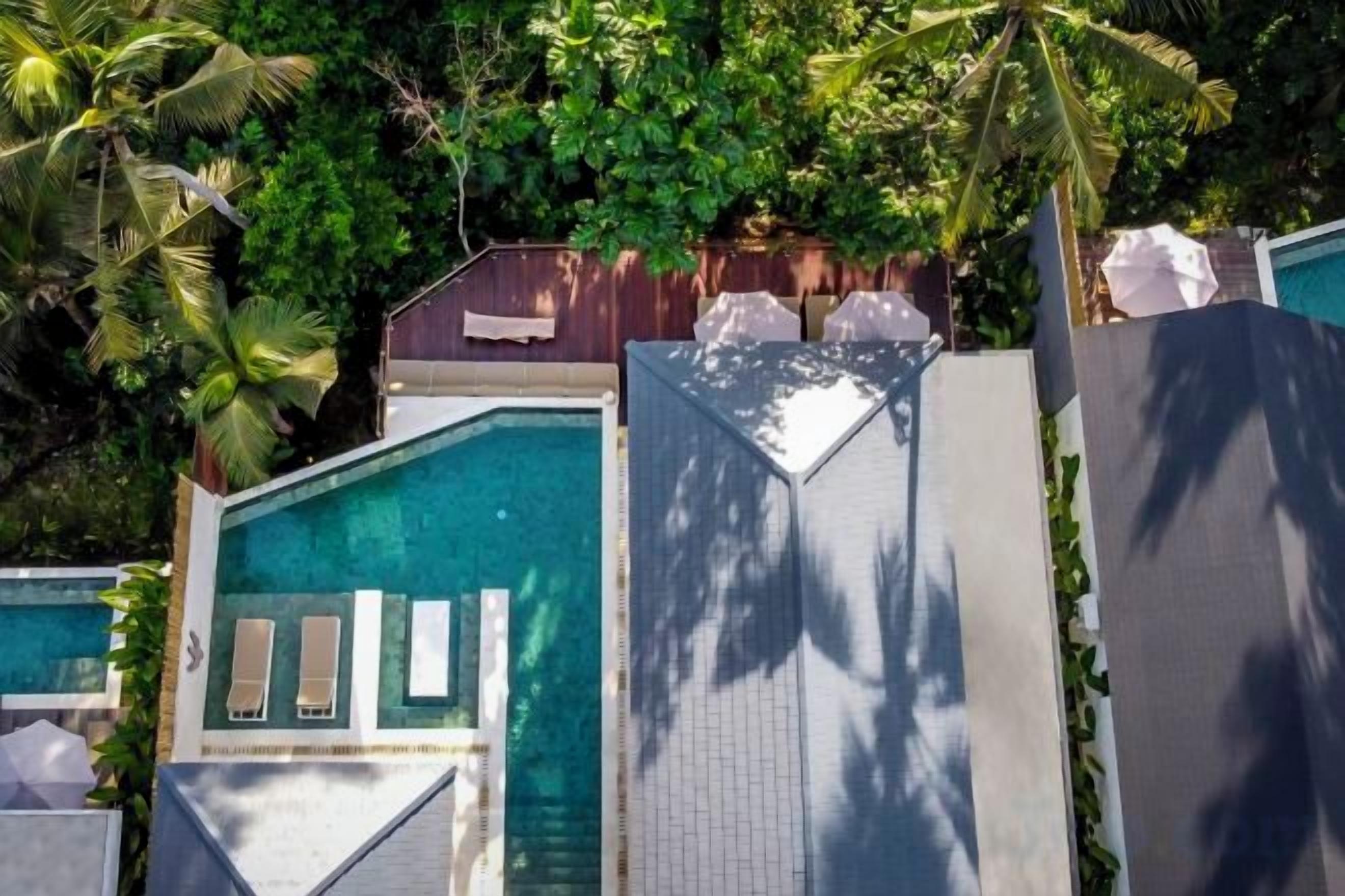 A rooftop pool with lounge chairs, surrounded by lush greenery and palm trees.