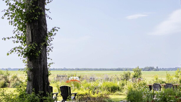 A rural landscape with a large tree, a wooden table with chairs, and a view of a field. - Charming Holiday Home in Kiel-Windeweer (Kiel-Windeweer)
